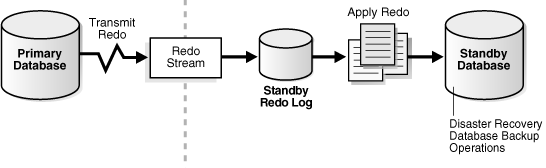 ARCHITETTURA UFFICIALE · DATA GUARD · FONTE: ORACLE DOCS